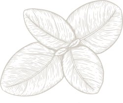 Decoration Image